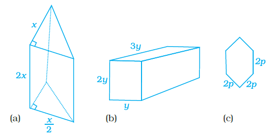 Page 355 Chapter 11 Class 8th NCERT Exemplar